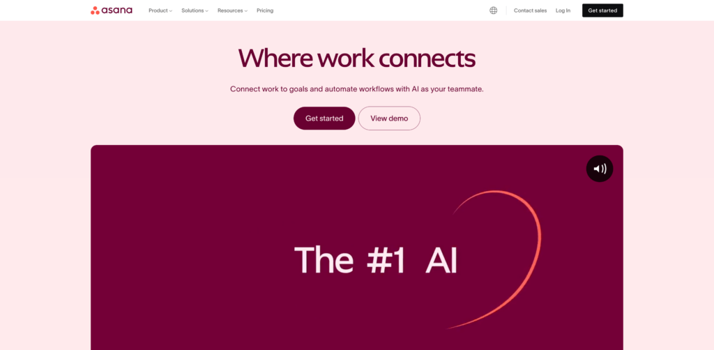 Asana task management 